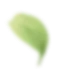 Лист