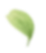 Лист